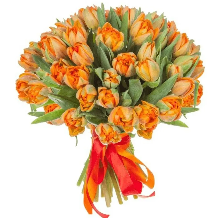 Тюльпаны пионовидные оранжевые